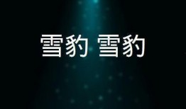 豹风全集在线观看,在线观看，领略速度与激情的极致魅力