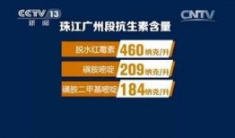 央视爆料自来水工程视频,自来水工程背后惊人真相曝光
