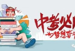 河南村长爆料最新消息,揭秘乡村发展背后惊人真相