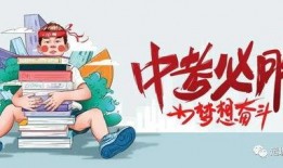 河南村长爆料最新消息,揭秘乡村发展背后惊人真相