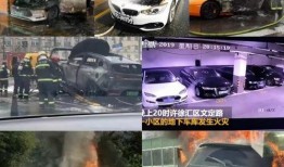 新能源车爆料新闻报道,最新爆料揭示行业变革趋势