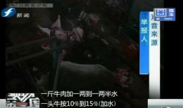 阿狼爆料全过程视频,揭秘事件真相与幕后黑幕
