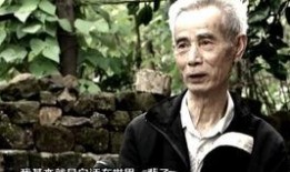 热门爆料配音视频,幕后故事与精彩瞬间