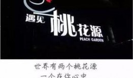 情歌王子爆料视频大全播放,经典情歌背后的故事与幕后花絮