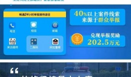 宁波新闻爆料平台电话号码,揭秘城市脉搏，倾听民声心声