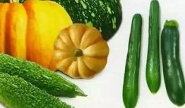 娱乐吃瓜009,吃瓜群众009的独家爆料