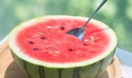 吃瓜免费观看全集