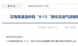 热点爆料新闻案例,XX事件背后的真相与反思