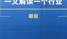 热点爆料新闻案例,XX事件背后的真相与反思