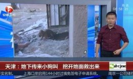 前安村挖沙新闻爆料视频,揭秘背后真相与争议