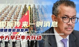 谭德赛最新爆料消息