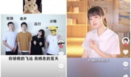 抖音辰飞爆料原视频,揭秘原视频背后的精彩故事