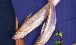 海鱼蚝油爆料方法大全视频,视频详解全方位爆料