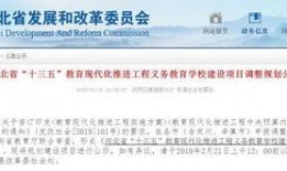 最新爆料石家庄新闻网站,揭秘重大事件背后真相