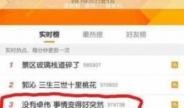 卓伟爆料阿娇视频,真相背后引人深思