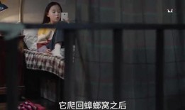 齐木小姐姐爆料视频大全,揭秘幕后故事与精彩瞬间