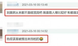 娱乐圈十一个爆料是谁,真相与谣言的交织