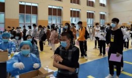 锰硅股吧消息爆料最新,行业动态与市场前景深度解析”