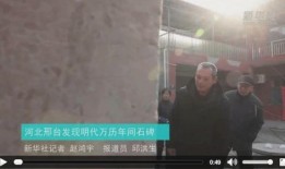 农民爆料河北人视频完整版,揭示背后真相与争议