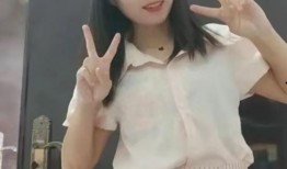 吃瓜小三视频大全集免费观看,视频大全集免费观看，揭秘娱乐圈秘闻