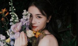 娱乐圈小黑爆料白鹿视频,娱乐圈小黑爆料背后的真相