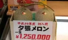 娱乐吃瓜取名,揭秘明星们的“吃瓜”日常