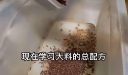 最新大料爆料配方,独家配方大公开，带你领略美食新境界