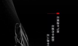 豹风全集在线观看,在线观看，领略速度与激情的极致魅力