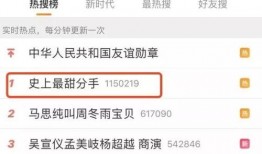 网红情侣分手爆料视频播放,视频播放揭秘分手真相