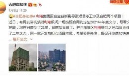 合肥爆料最新,揭秘城市热点事件背后的真相