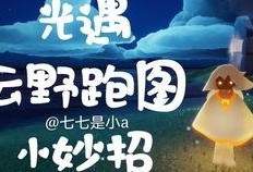 爱可可爆料视频大全集,揭秘娱乐圈幕后故事