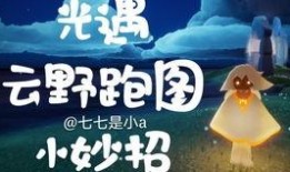 爱可可爆料视频大全集,揭秘娱乐圈幕后故事