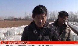 农民爆料河北人视频完整版,揭示背后真相与争议