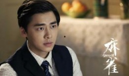 麻雀电视剧全集在线观看,揭秘抗战时期谍战风云的传奇故事