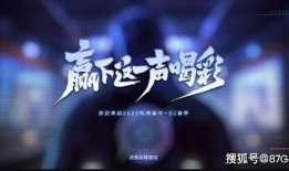 电竞第二款皮肤最新爆料,揭秘第二款皮肤神秘面纱