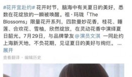 娱乐圈十一个爆料是谁,真相与谣言的交织