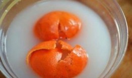 小黄萝卜爆料视频大全,揭秘娱乐圈幕后真相