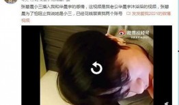 华晨宇被爆料整容了吗视频,真相究竟如何？