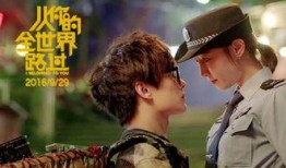 从你的全世界路过在线观看完整版,穿越爱情与友情，共赴心灵之旅