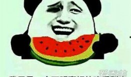 网红吃瓜吃瓜什么意思,揭秘网络八卦背后的真相与娱乐