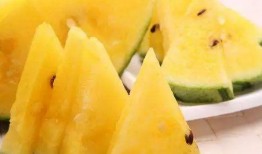 吃瓜网 免费吃瓜 黑,黑生成带你畅游娱乐世界