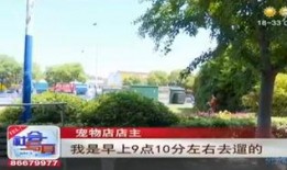 联兴花园事件爆料视频大全,揭秘爆料视频背后的真相与争议