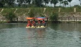 新瓜最新爆料天台,天台风云再起，揭秘背后惊人真相