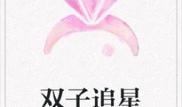 双子在线观看,揭秘虚拟世界中的双生情缘