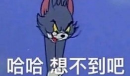 沙雕搞笑视频爆料文案短句,短句笑料盘点