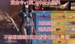 赏金令最新爆料体验服,体验服神秘内容大揭秘！