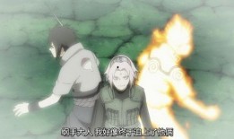 忍战小樱最全爆料视频在线观看,揭秘最全爆料视频，在线观看带你领略忍者世界