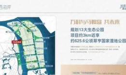 新闻爆料要素,揭秘事件背后惊人真相
