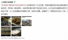 长春爆料打脸视频播放全集