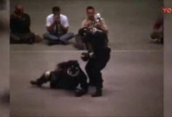 截拳宗师小李爆料视频播放,独家爆料视频背后的故事